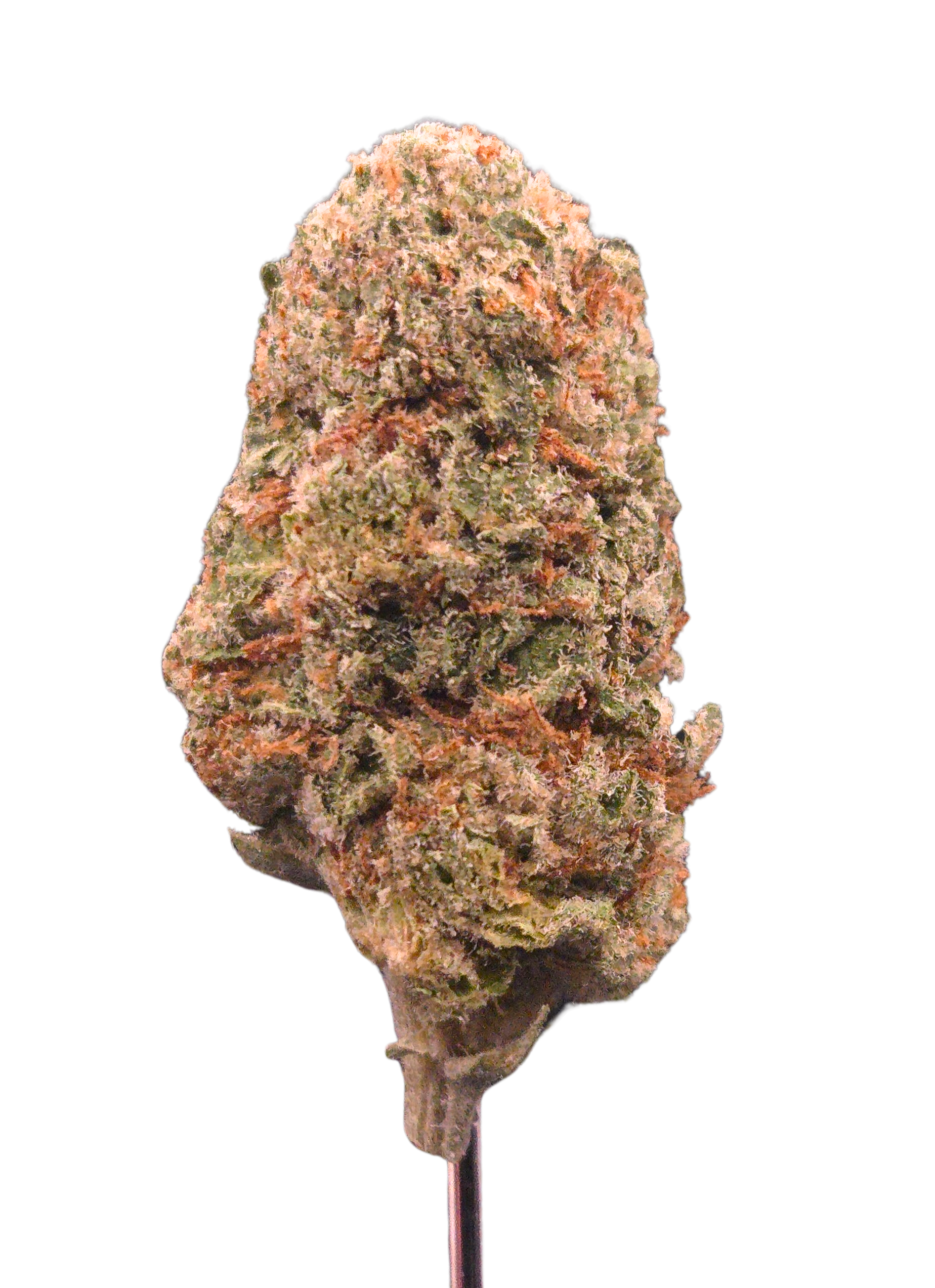 Florida Sunset THCA - Hybrid (Sativa Dom.) - Bulk Flower