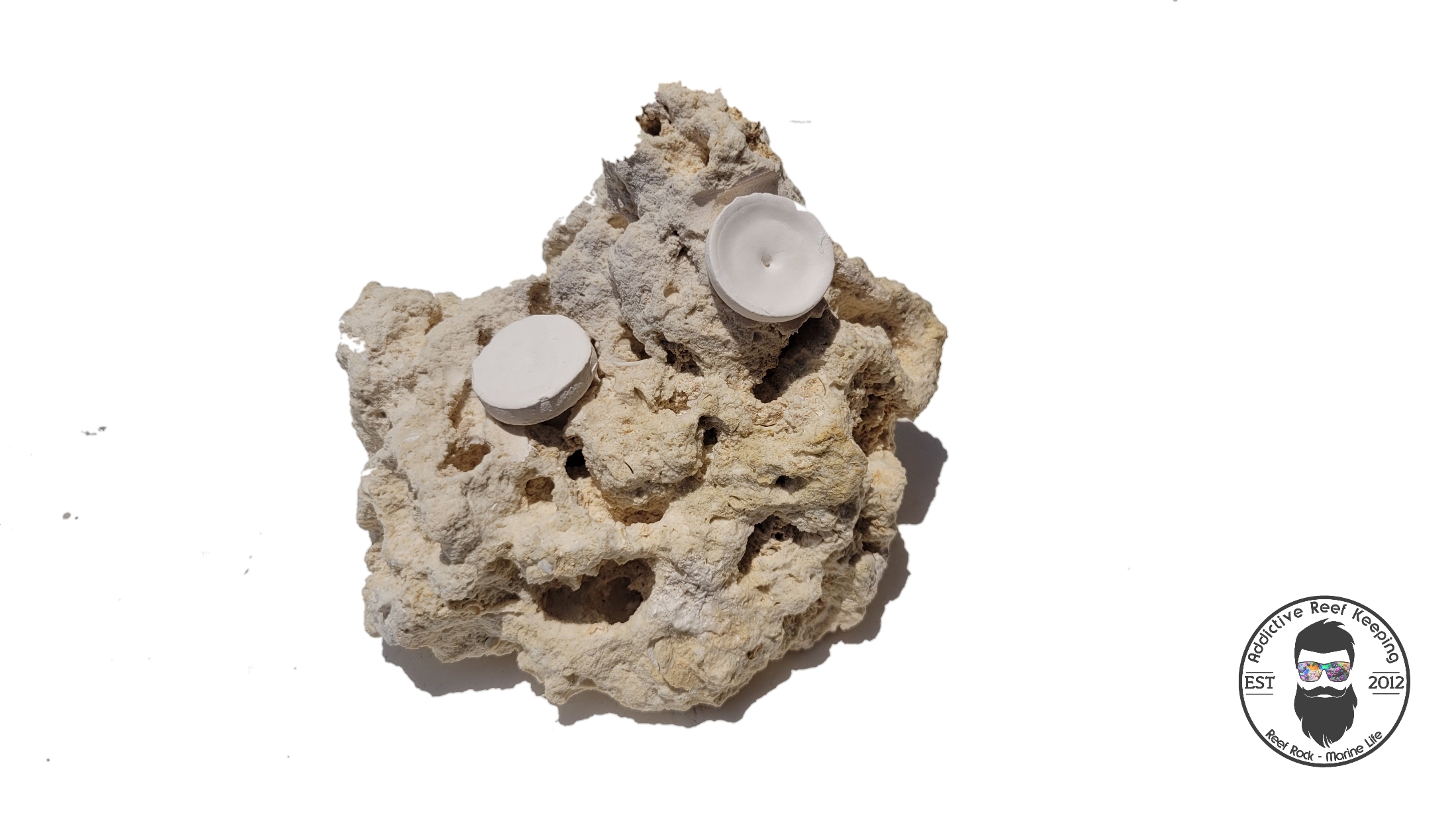ARK Frag Rock- 2 Frag Holes- 5″× 6″
