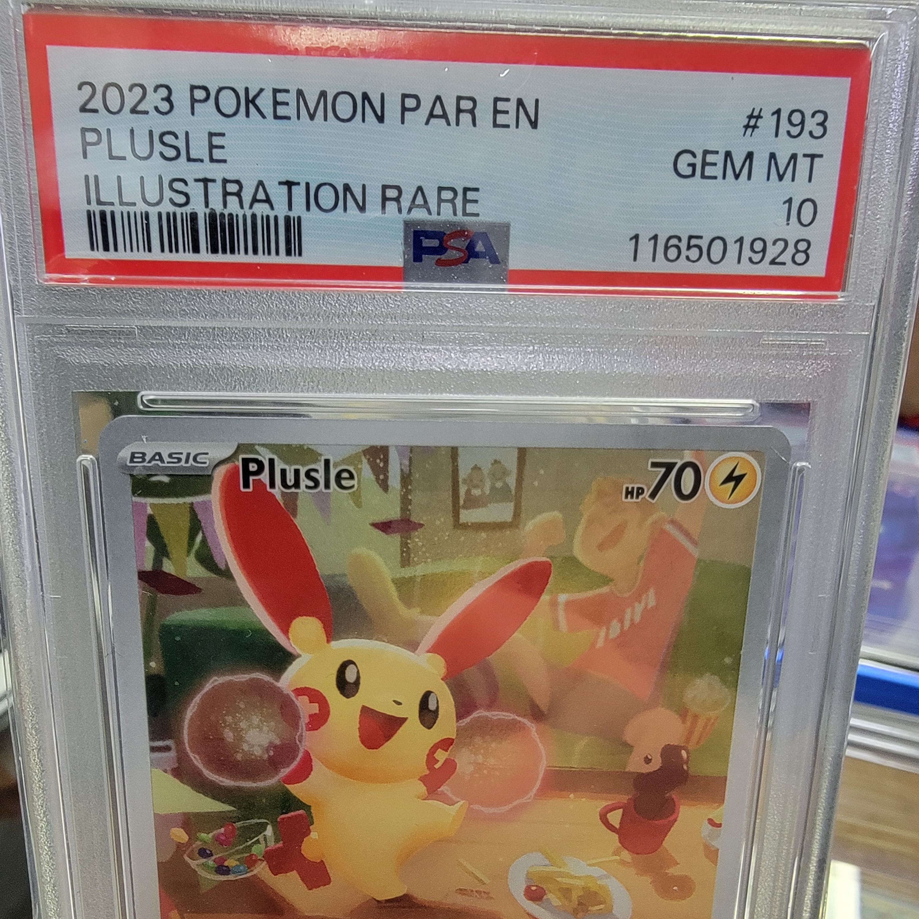 Psa 10 Plusle IR Graded Card
