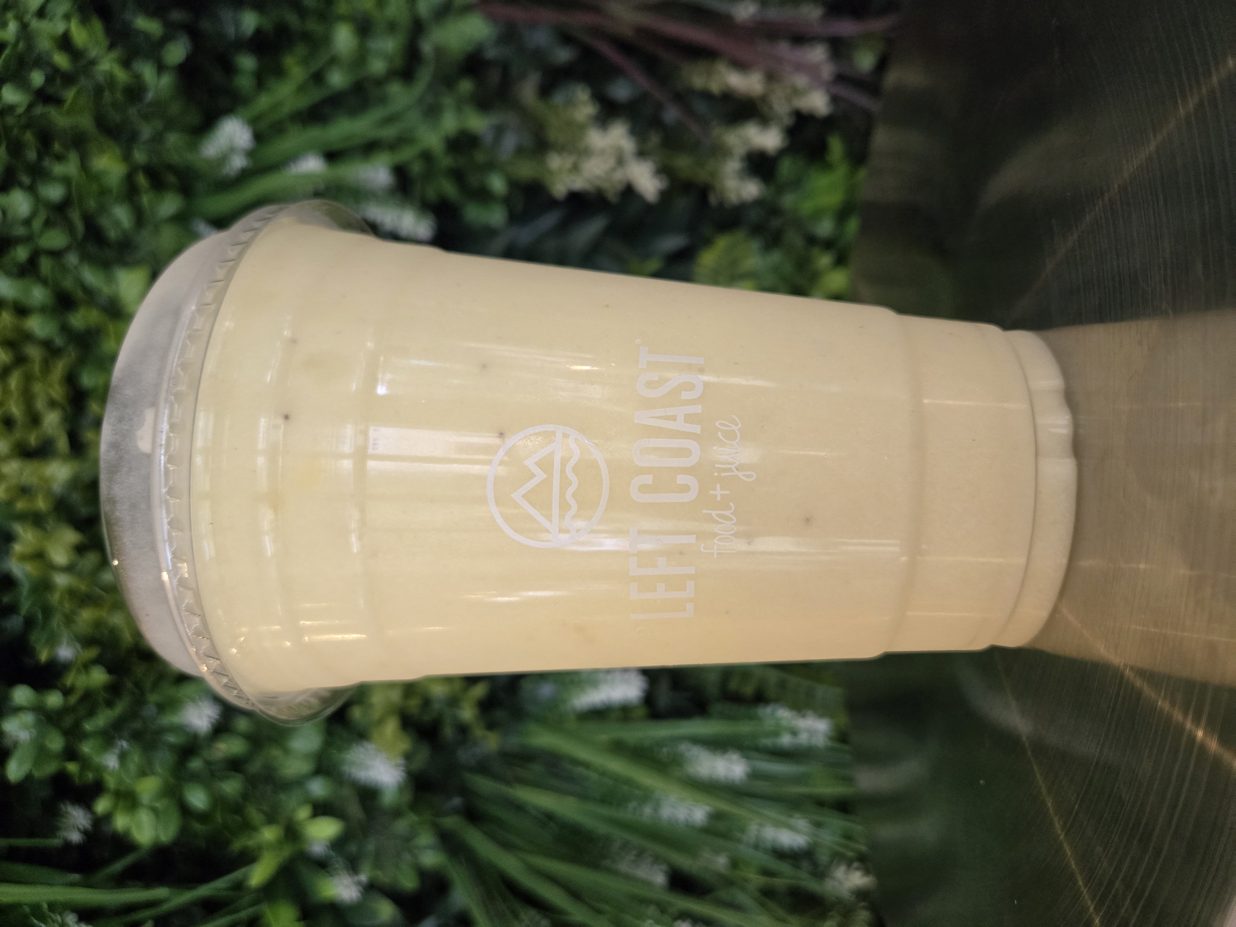 PIÑA COCADA