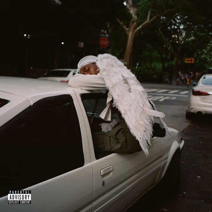 Blood Orange -  Negro Swan by Unknown Artist - View 1