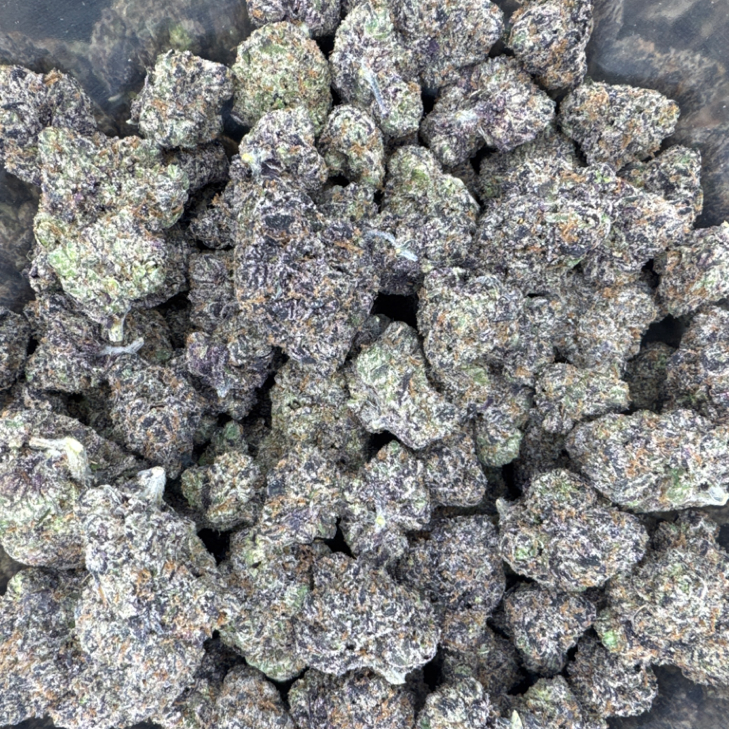 Blue Guava Runtz 15.66% THCA - Regular