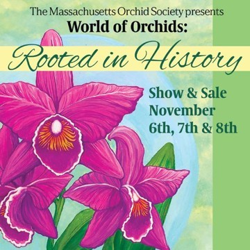 Show Admission