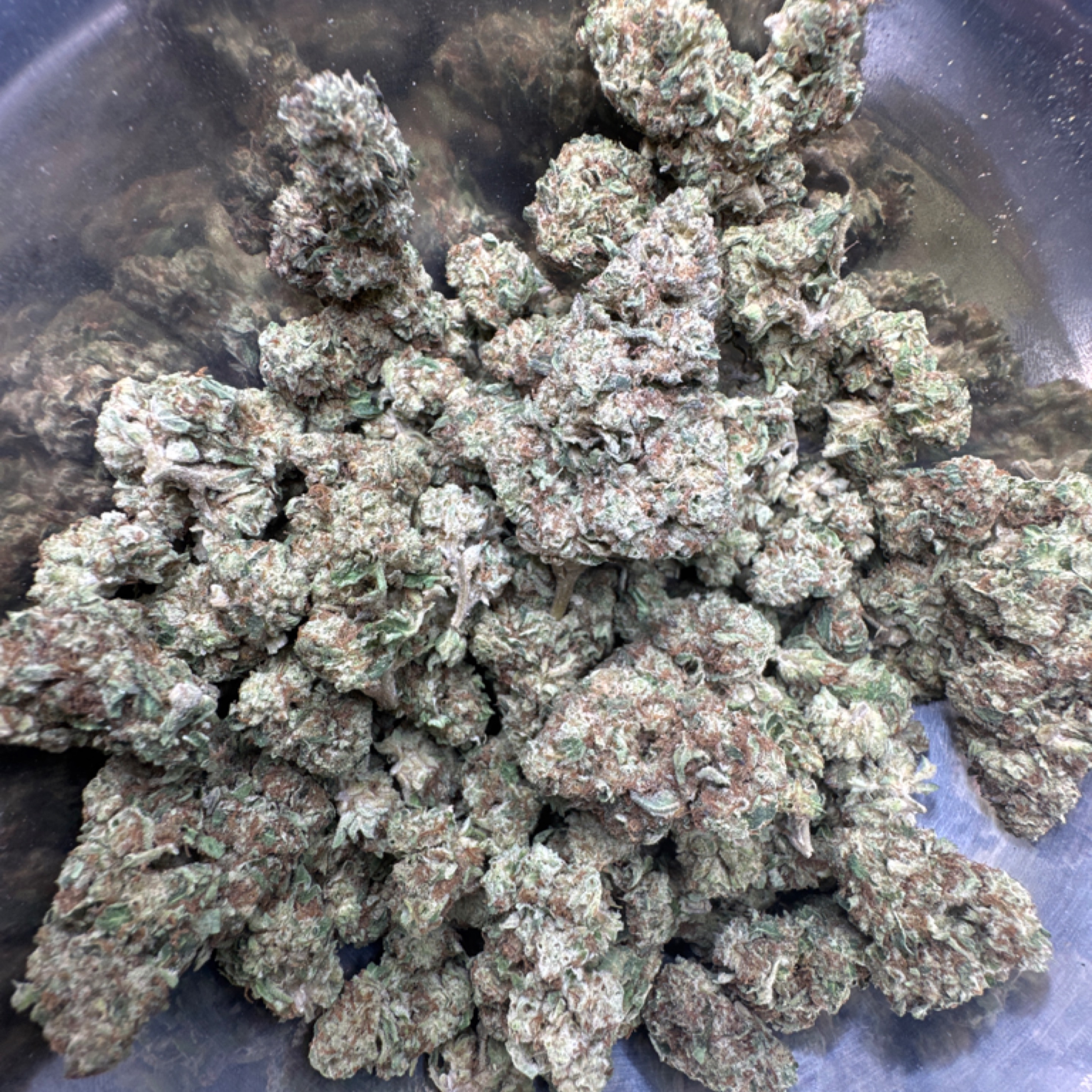 OG Chem 26.36% THCA - Regular