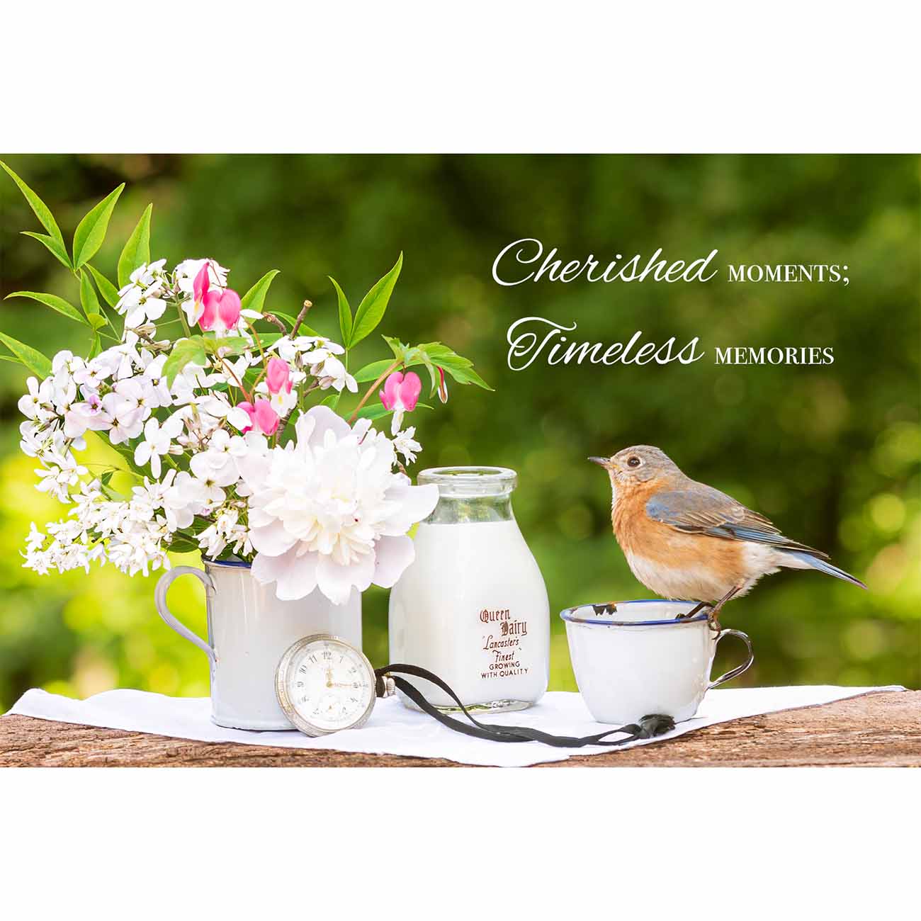 Cherished Moments