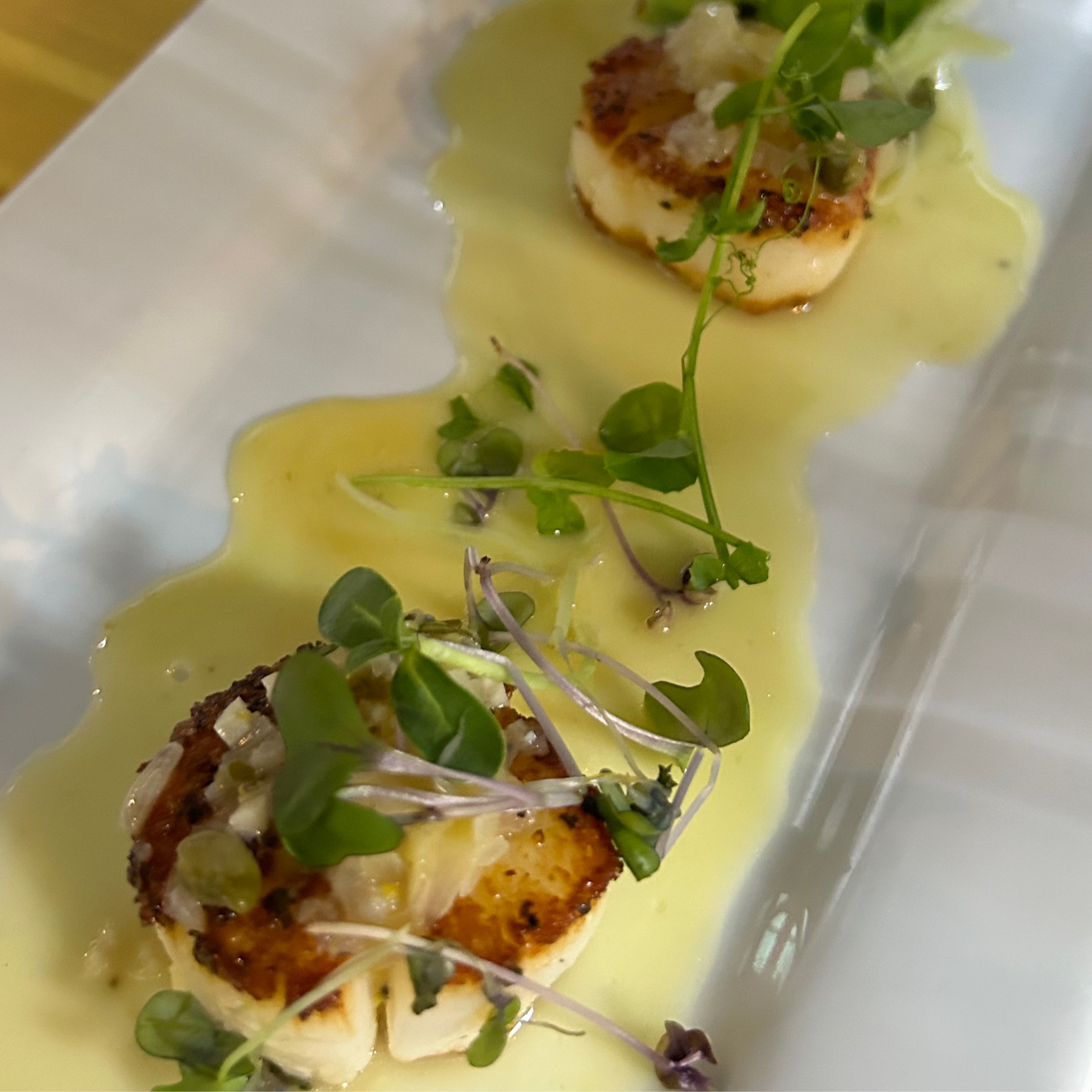 Seared Scallops