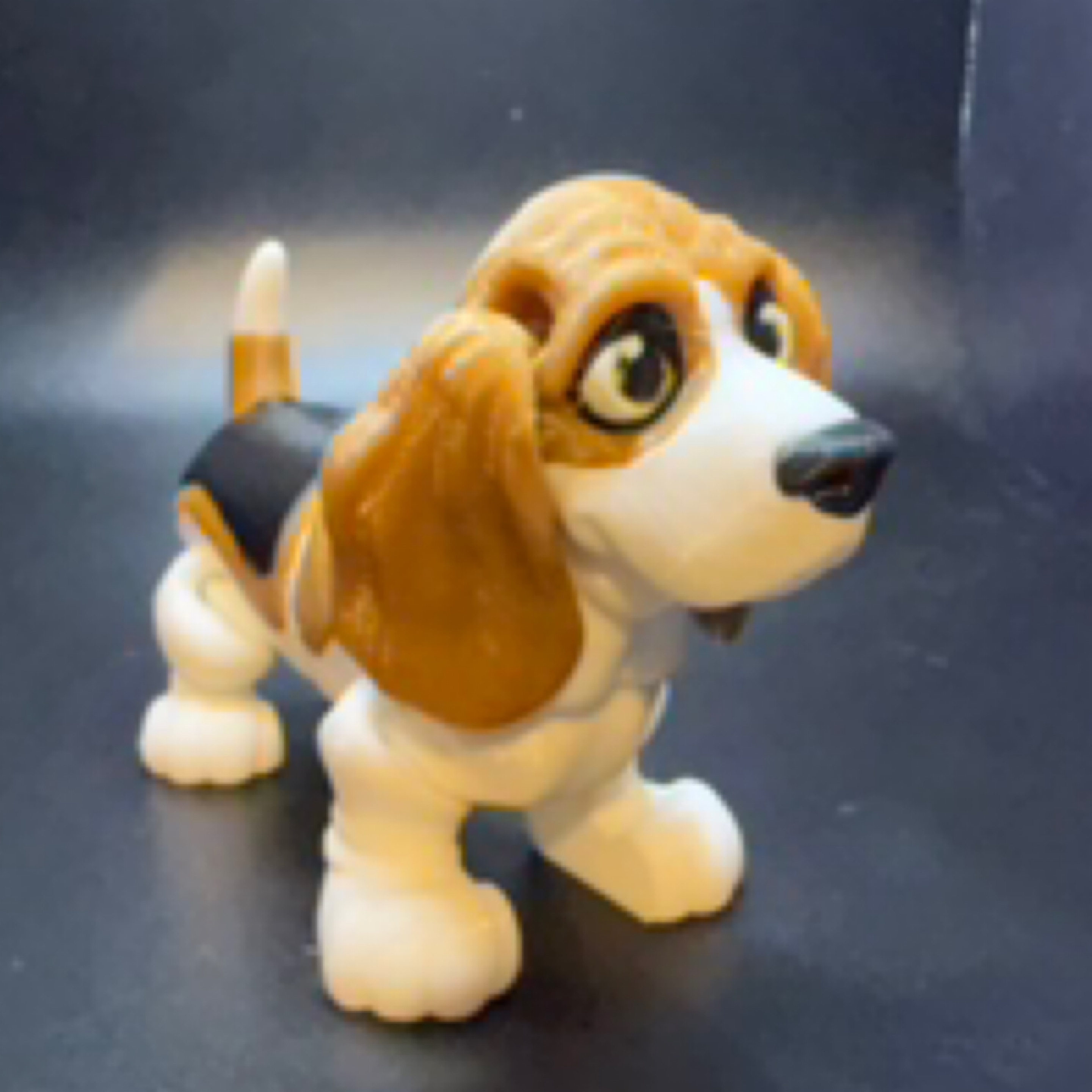 Basset hound