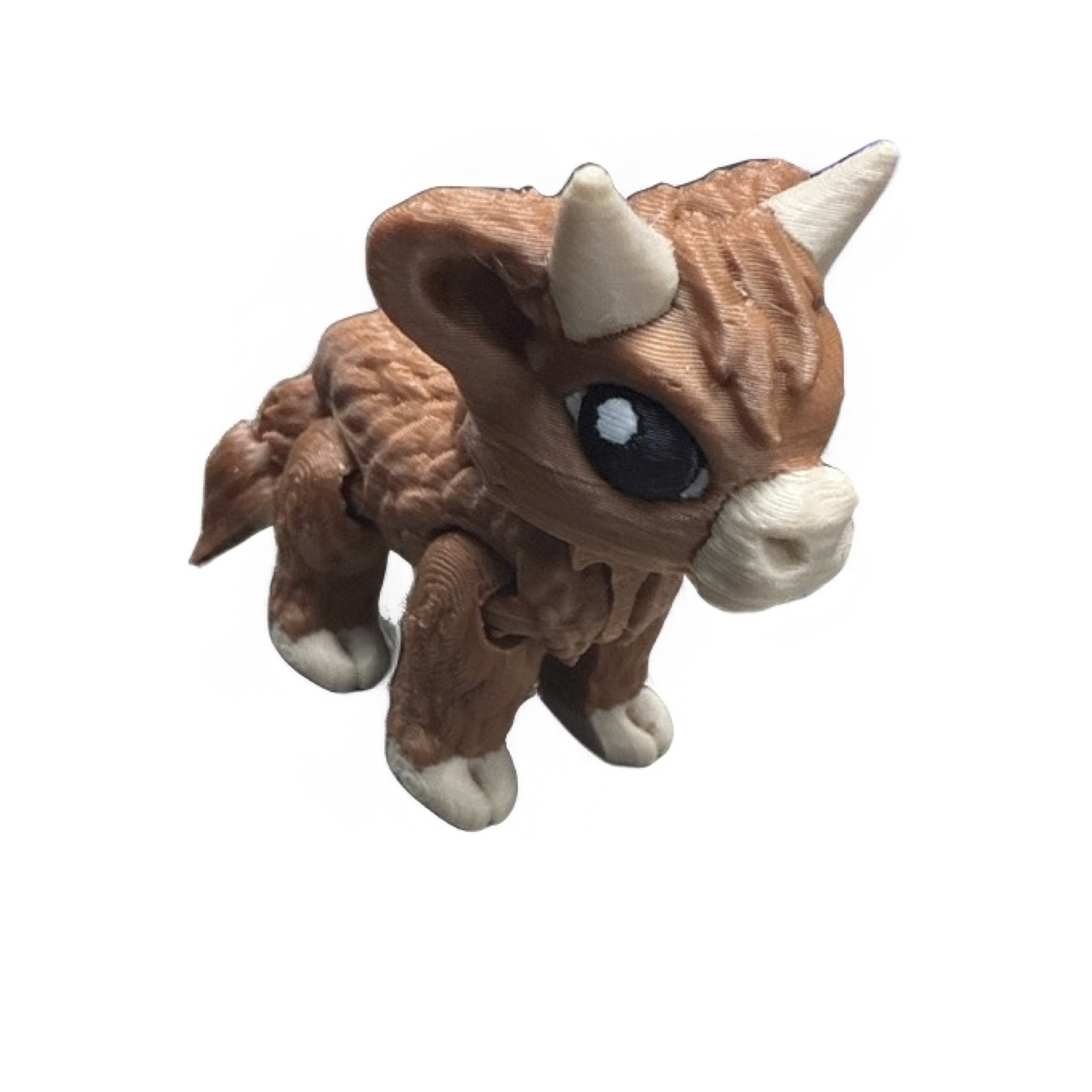 Mini highland cows