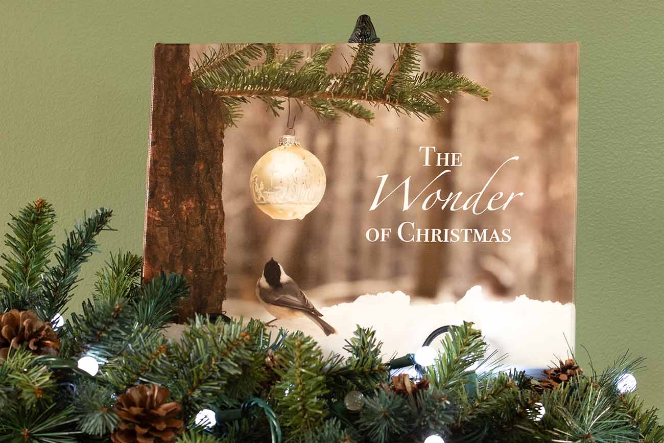 The Wonder of Christmas