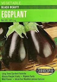 Black Beauty Heirloom Eggplant Seed Pack