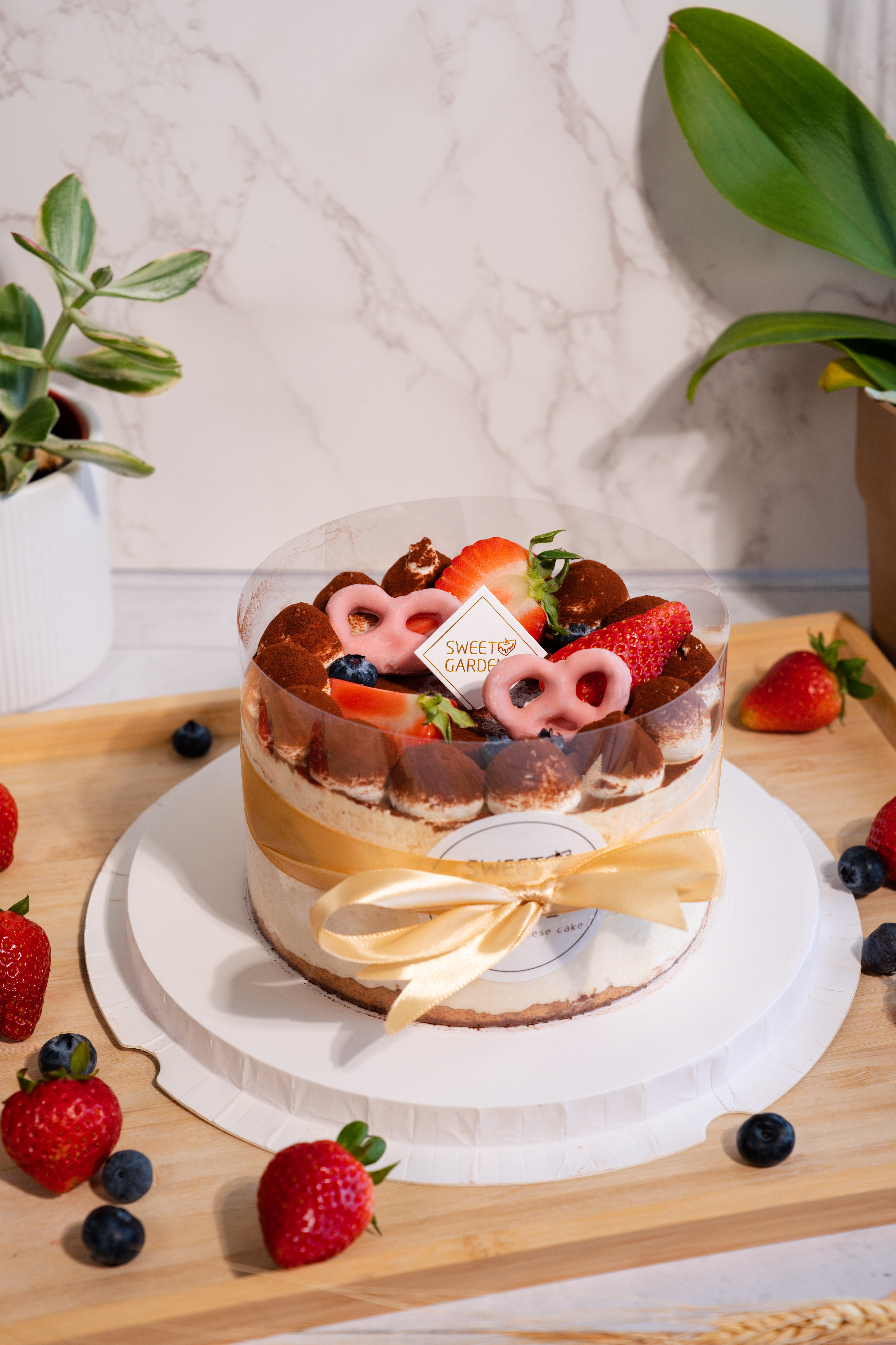 Espresso-dipped Tiramisu