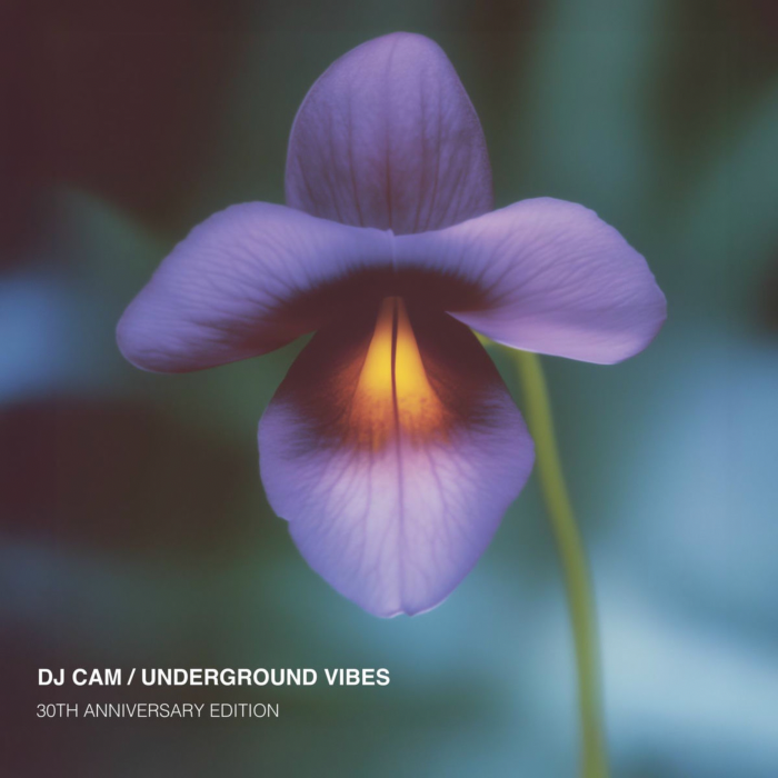 DJ Cam - Underground Vibes by Unknown Artist - View 1