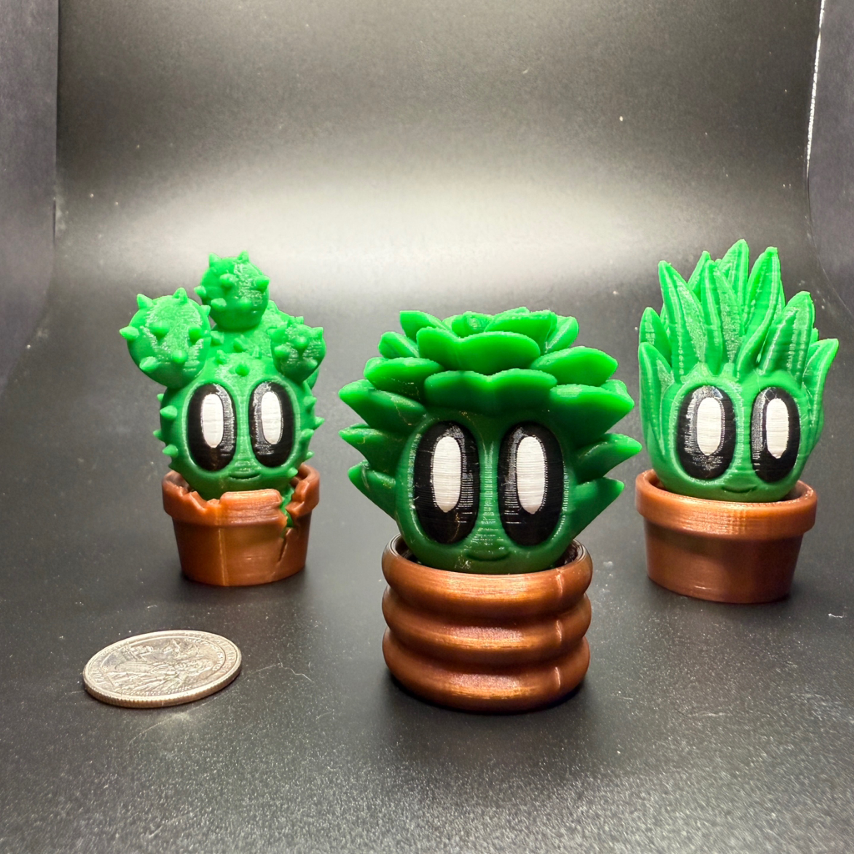 Plant guys