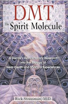 DMT: The Spirit Molecule: A Doctor's Revolutionary Research into the Biology of Near-Death and Mystical Experiences/Rick Strassman