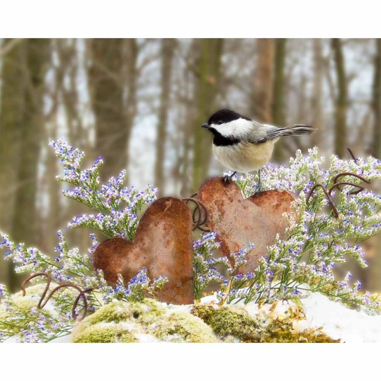 Rustic Love (Chickadee)