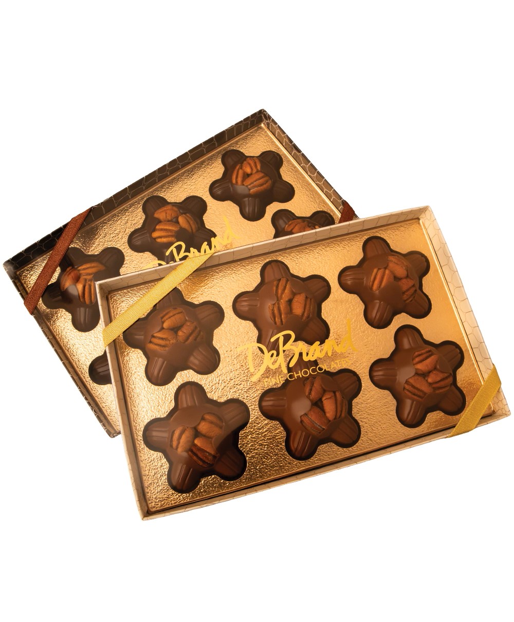 Turtle 6 pc Gift Box