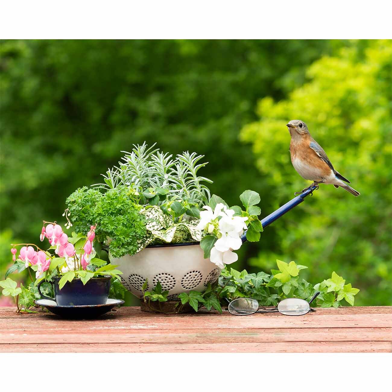The Kitchen Herb Garden (Strainer)