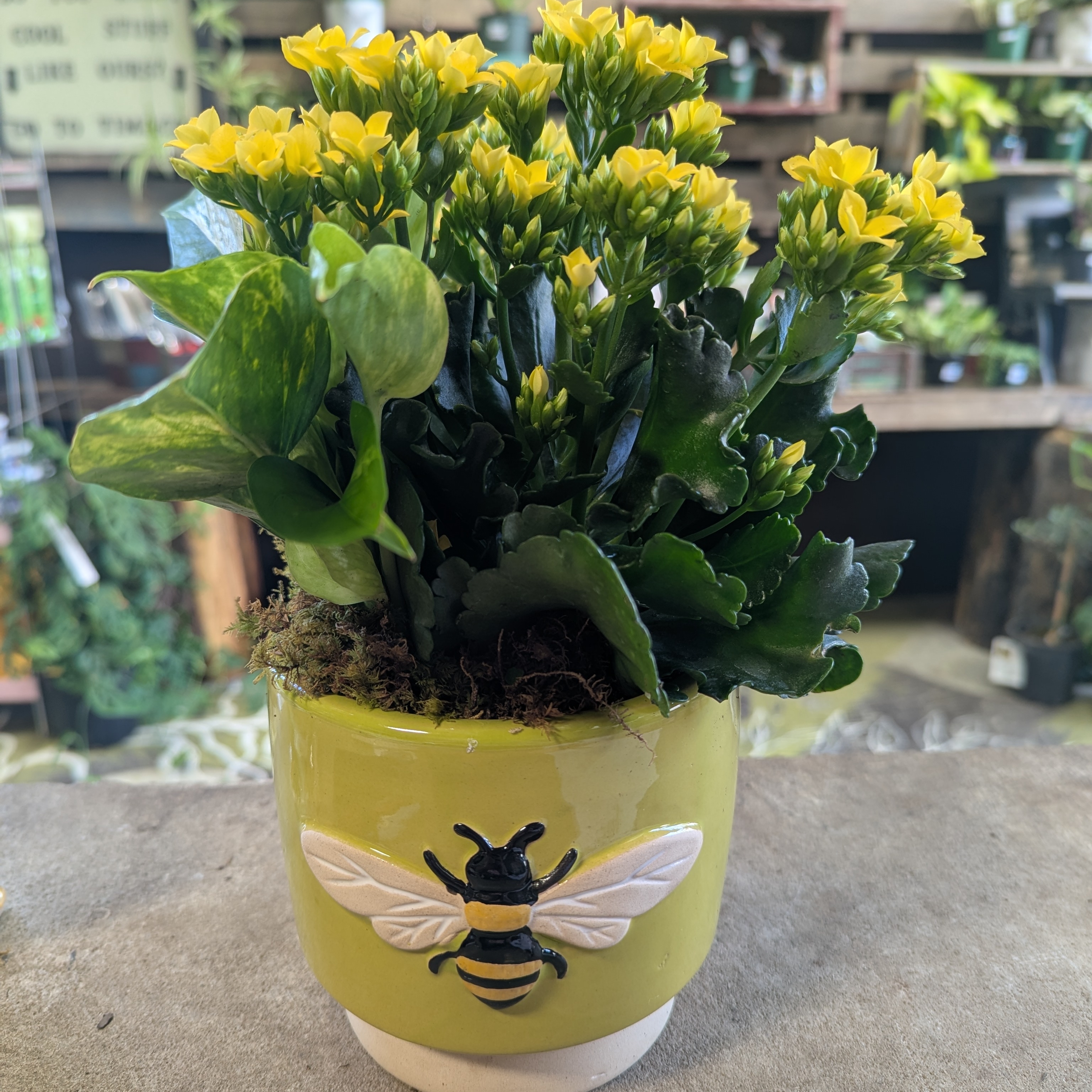 Ceramic Bee Planter, 5"
