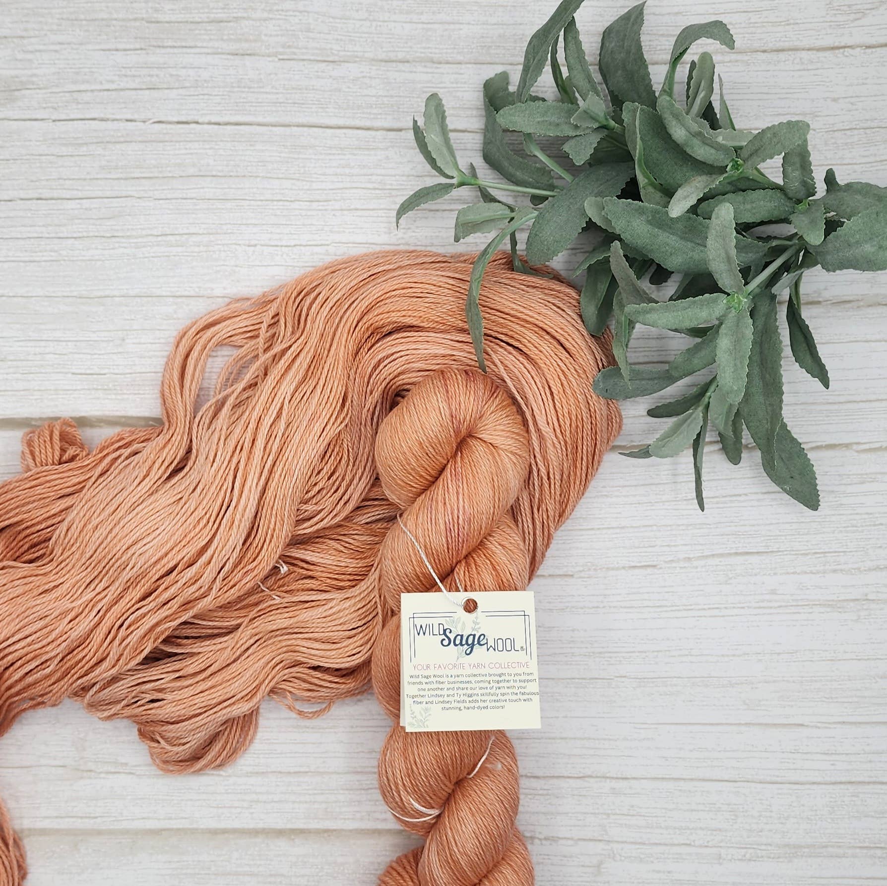 Fading Coral - Fingering — Dye to Order