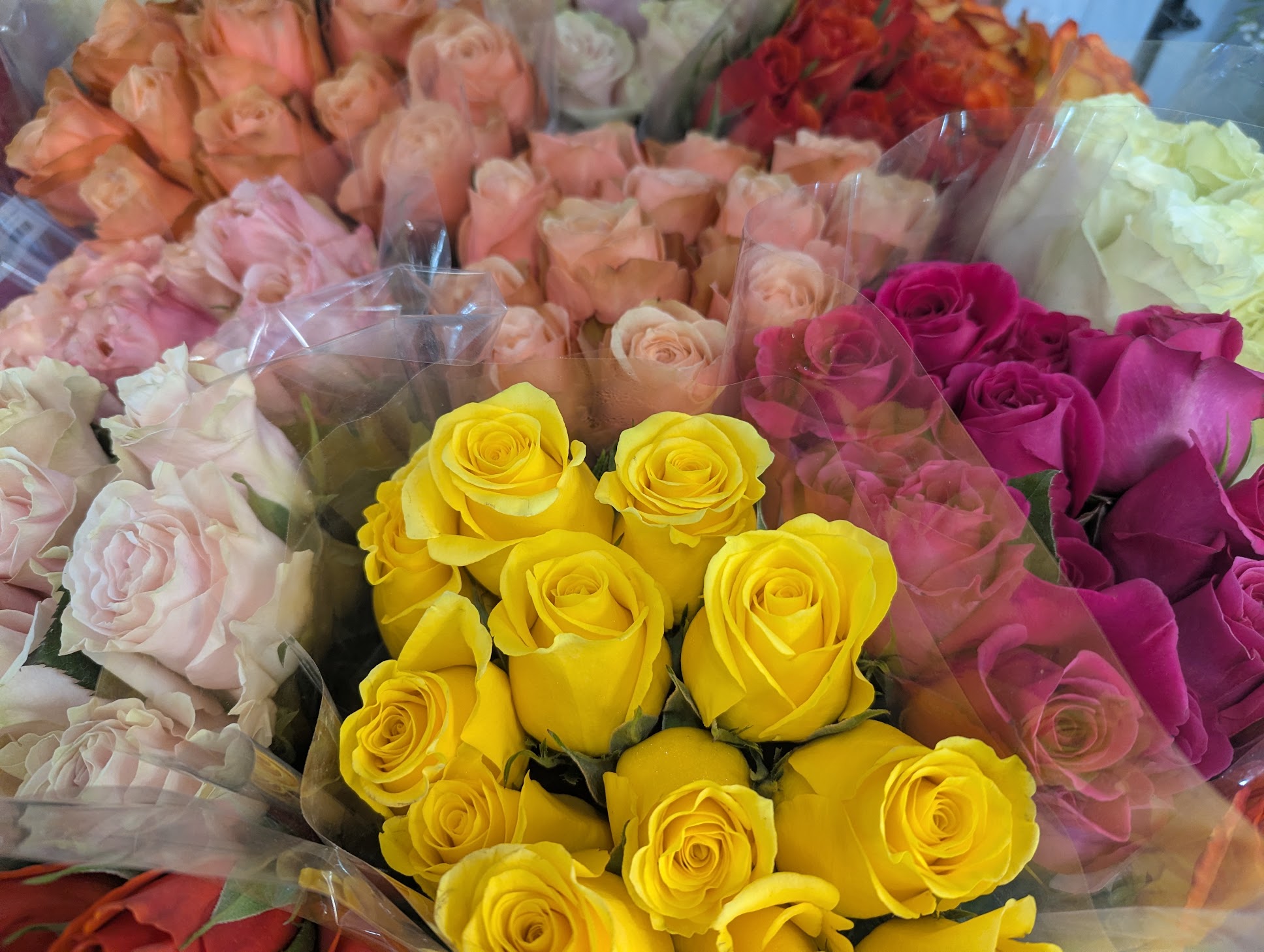Valentine | Sweetheart Colored Roses - Half a Dozen Colored Roses
