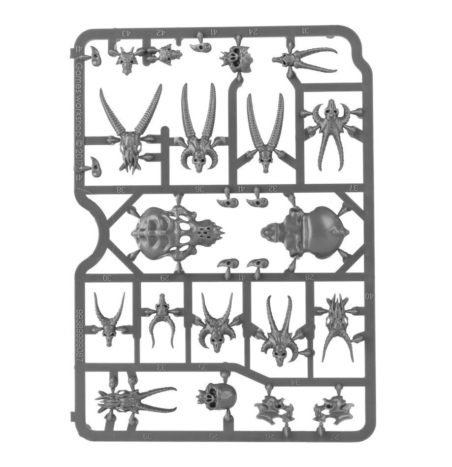 Citadel Skulls thumbnail 8
