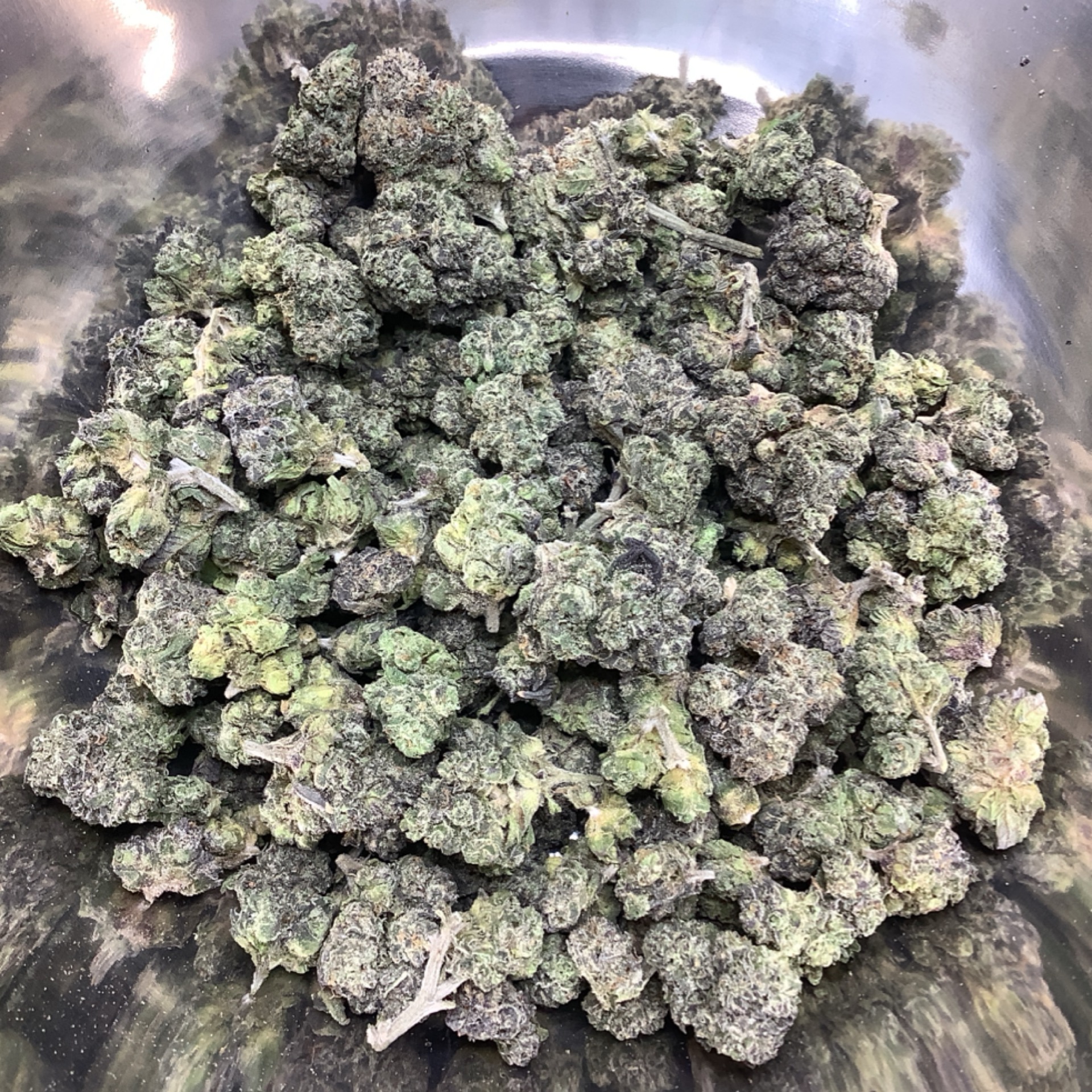 Alien Fritters - Regular