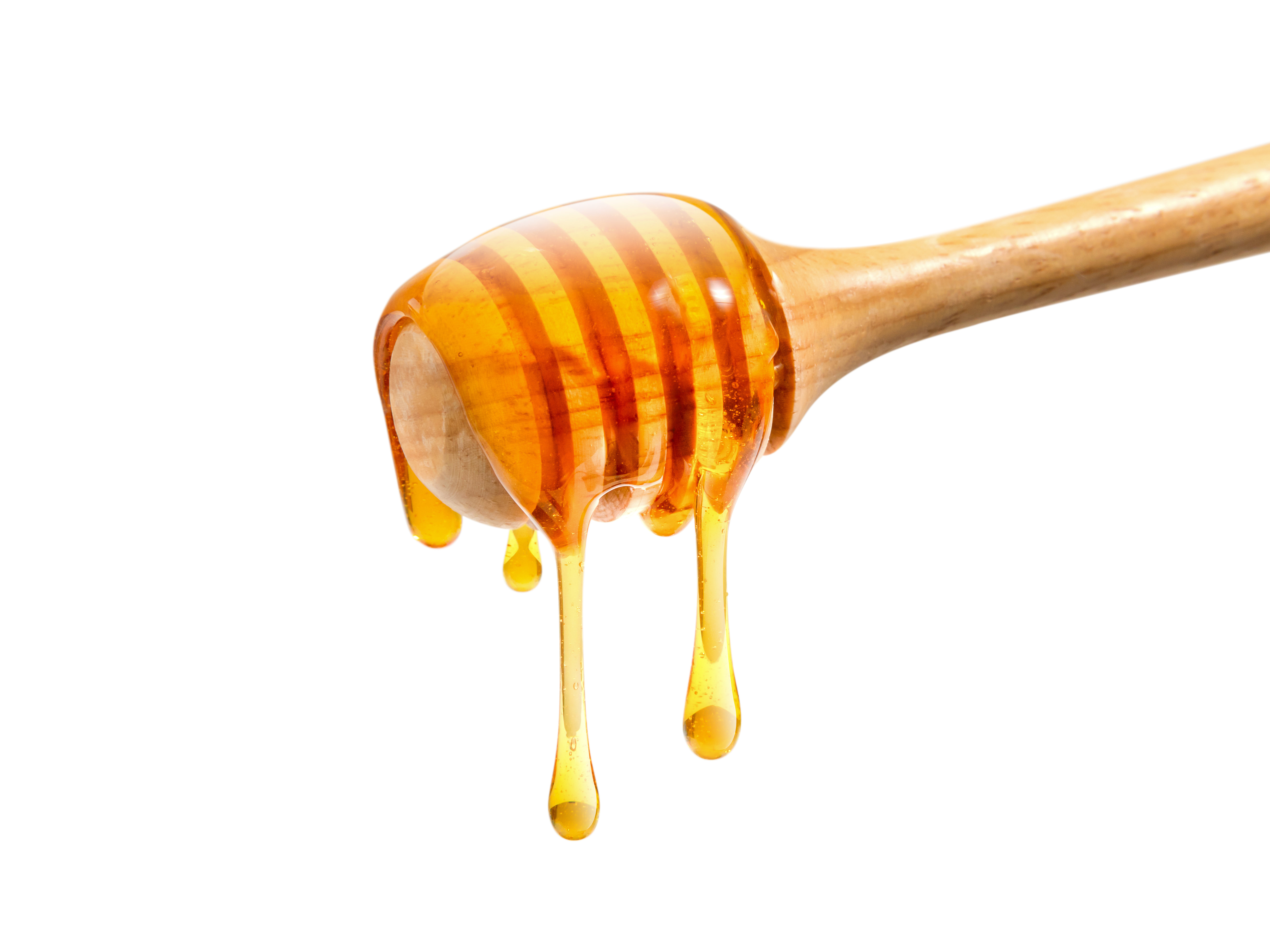 Walkabout Apiaries - Honey – 500g ‘Bush Honey’ Squeeze bottle