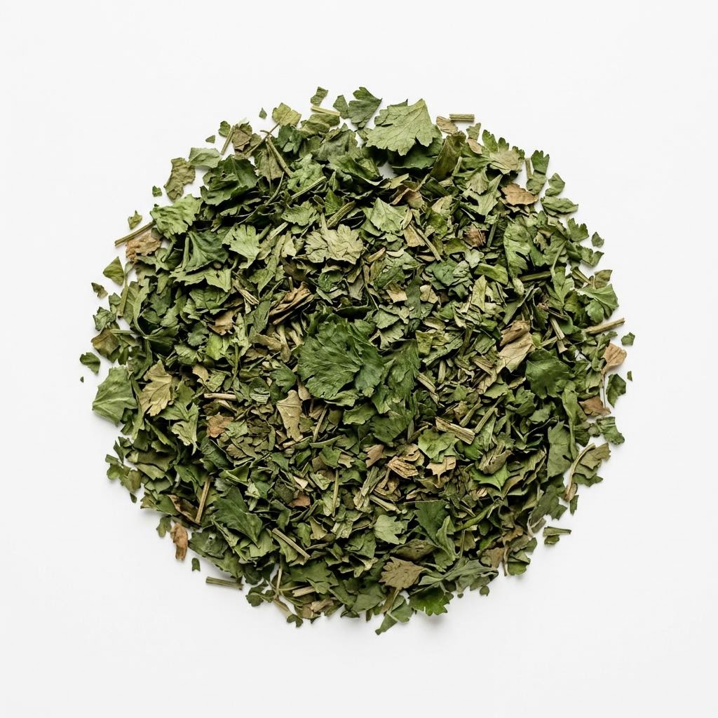 Cilantro