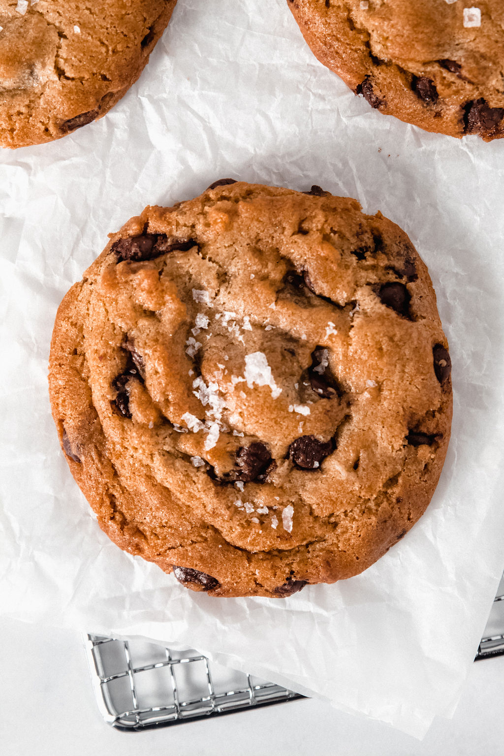 Chocolate Chip Cookie (V)
