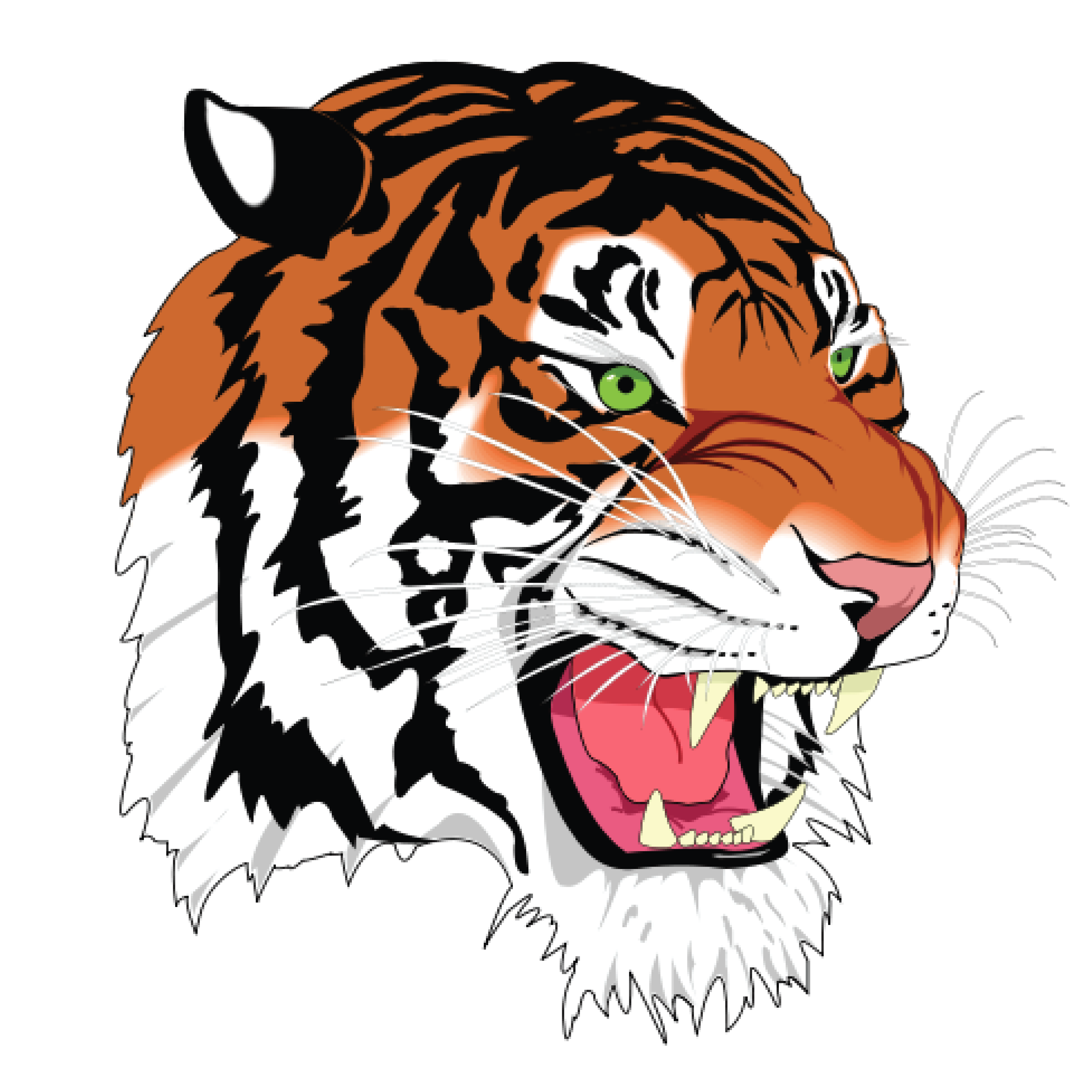 Tri-Township High School Affiliate Sponsorship